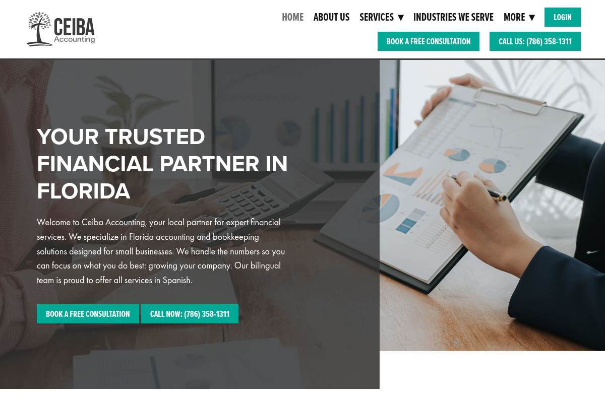 Screenshot of Ceiba Accounting website