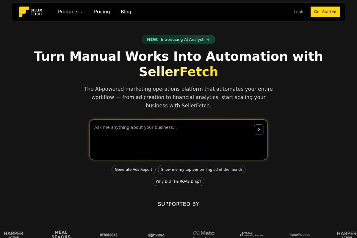 Screenshot of SellerFetch website