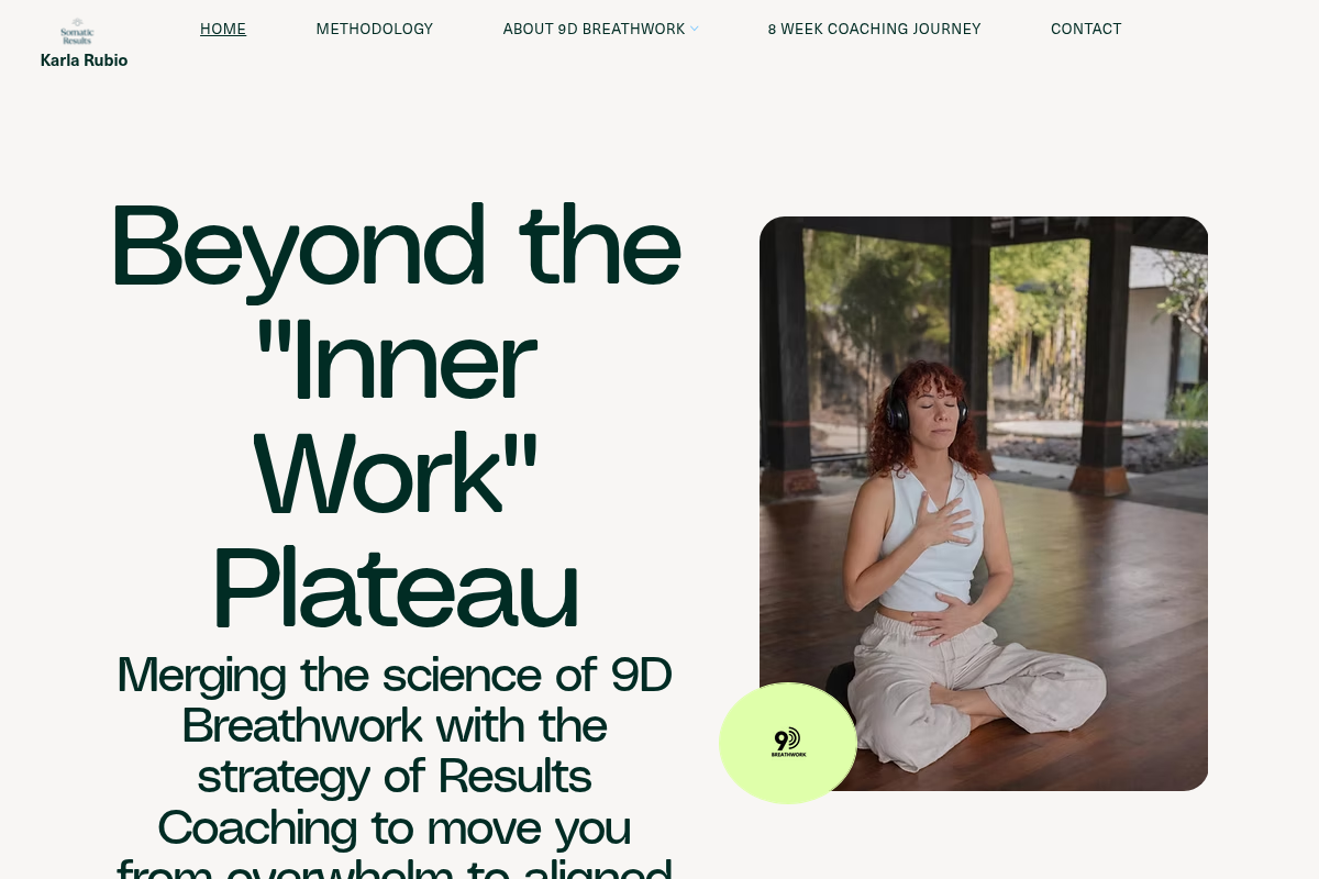 Screenshot of Somatic Results website