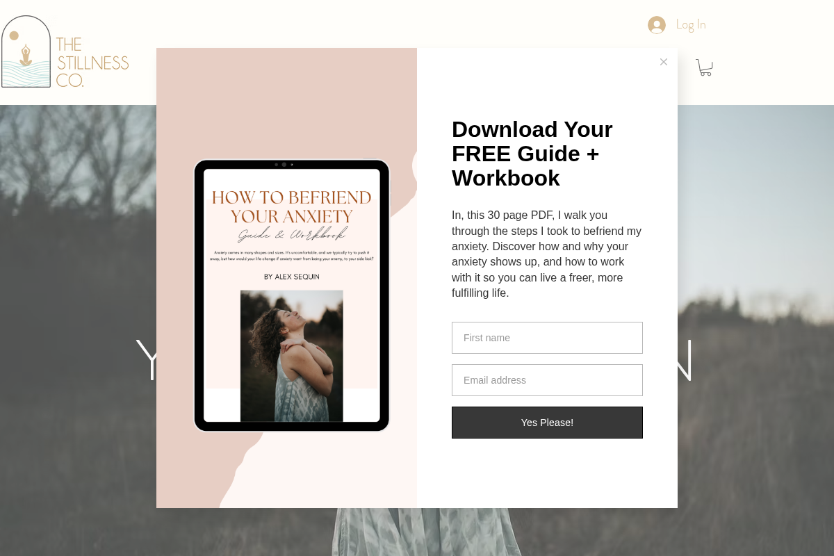 Screenshot of The Stillness Co. website