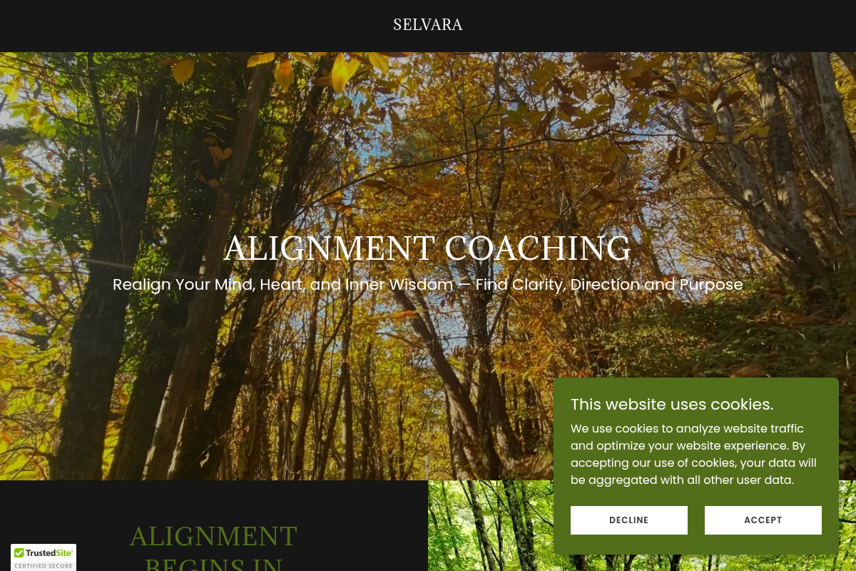 Screenshot of Selvara website