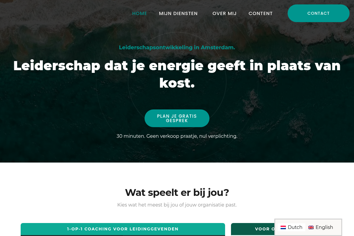 Screenshot of David Buirs | Leadership Coach & Management Trainer website