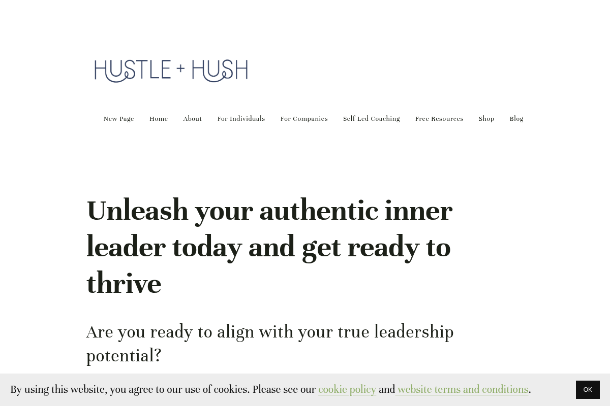 Screenshot of HUSTLE + hush website