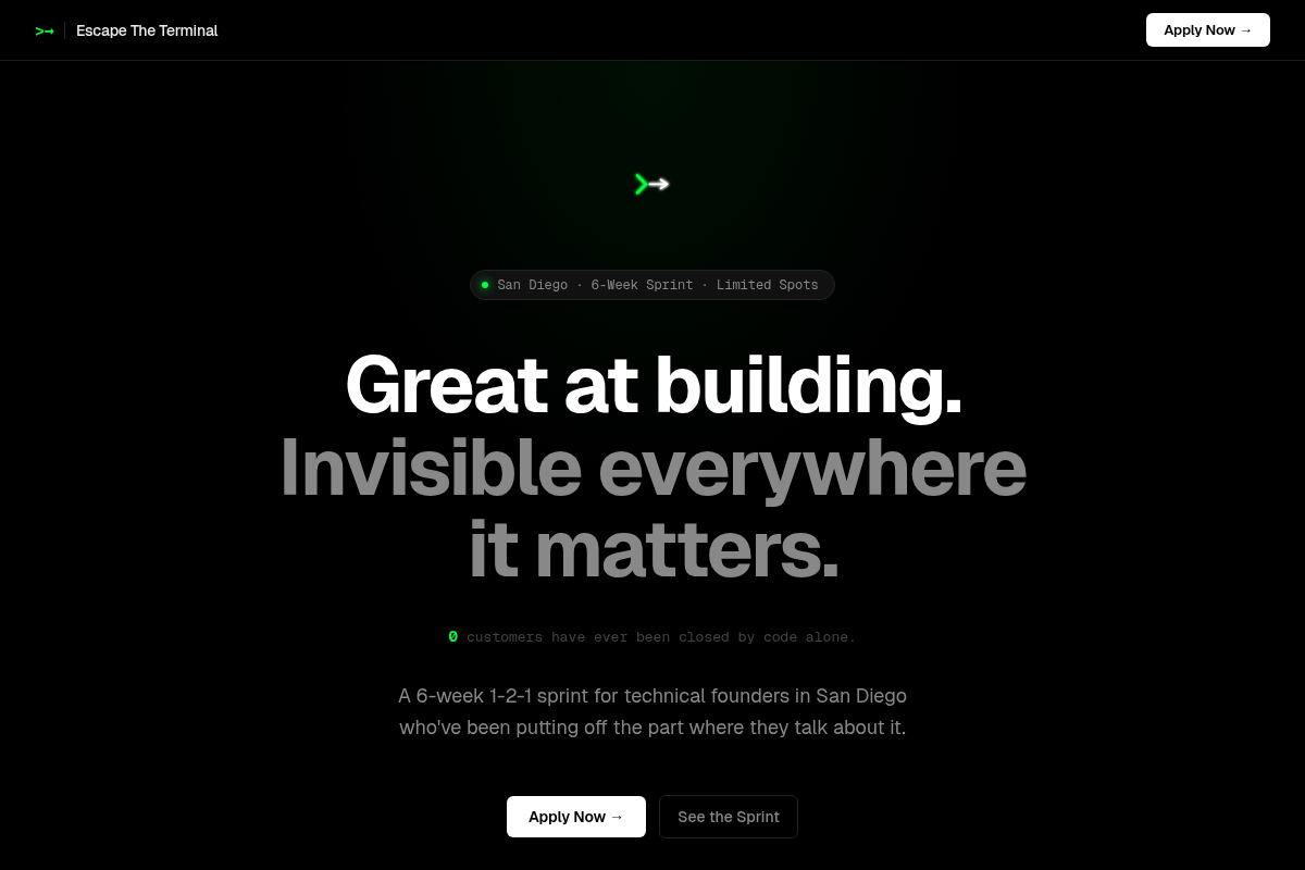 Screenshot of Escape The Terminal website