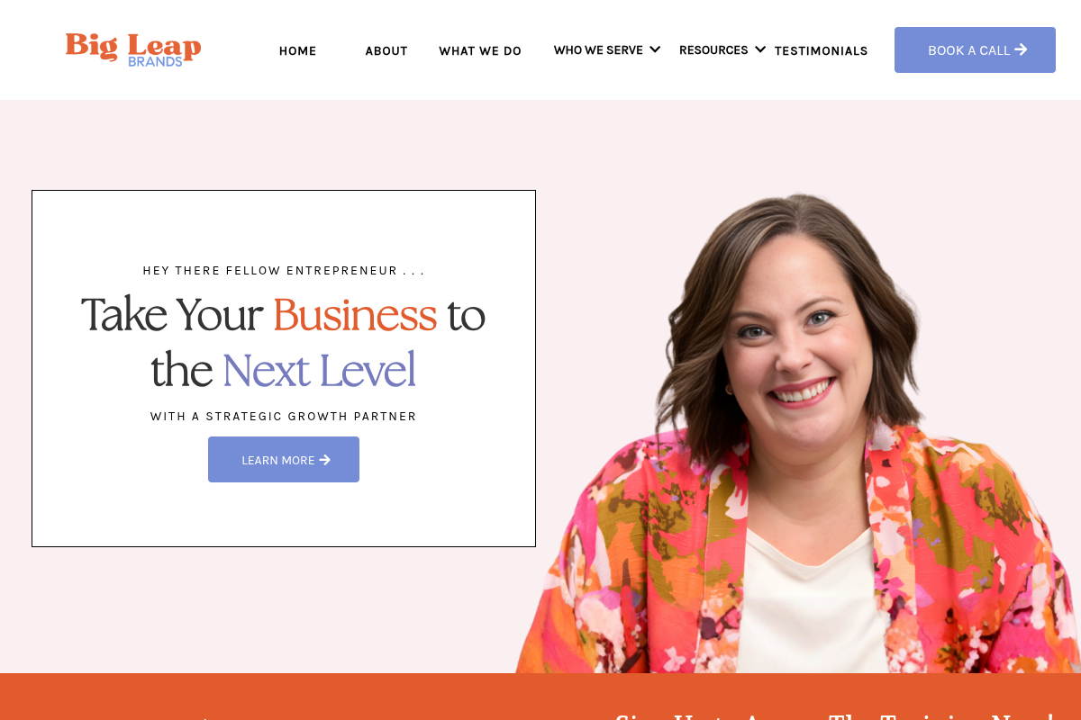 Screenshot of Big Leap Brands website