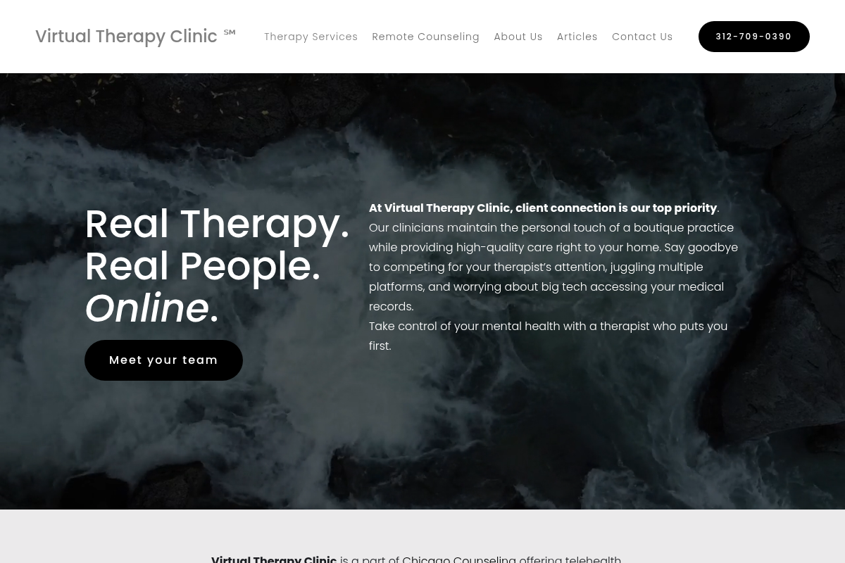 Screenshot of Virtual Therapy Clinic website