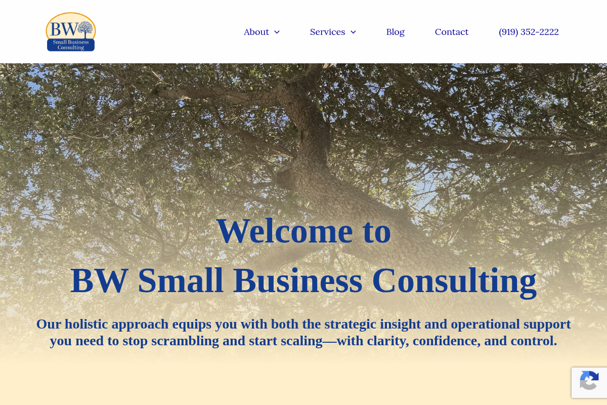 Screenshot of BW Small Business Consulting website