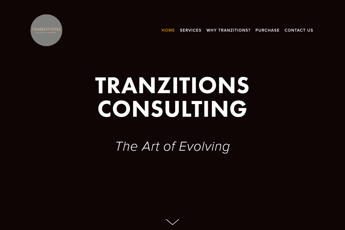 Screenshot of TranZitions website