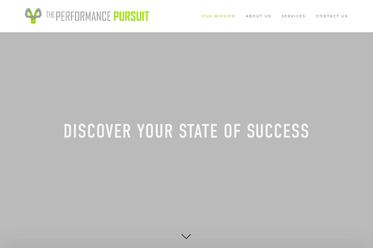 Screenshot of The Performance Pursuit website