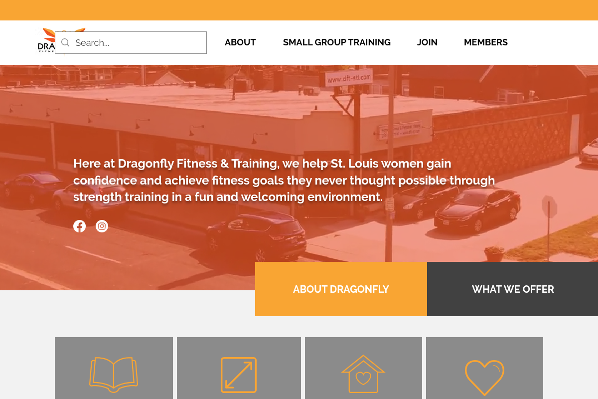 Screenshot of Dragonfly Fitness & Training website