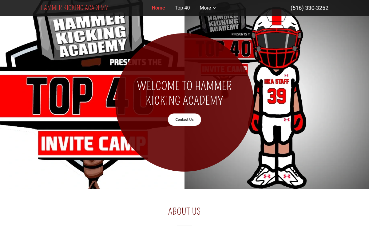 Screenshot of Hammer Kicking Academy website