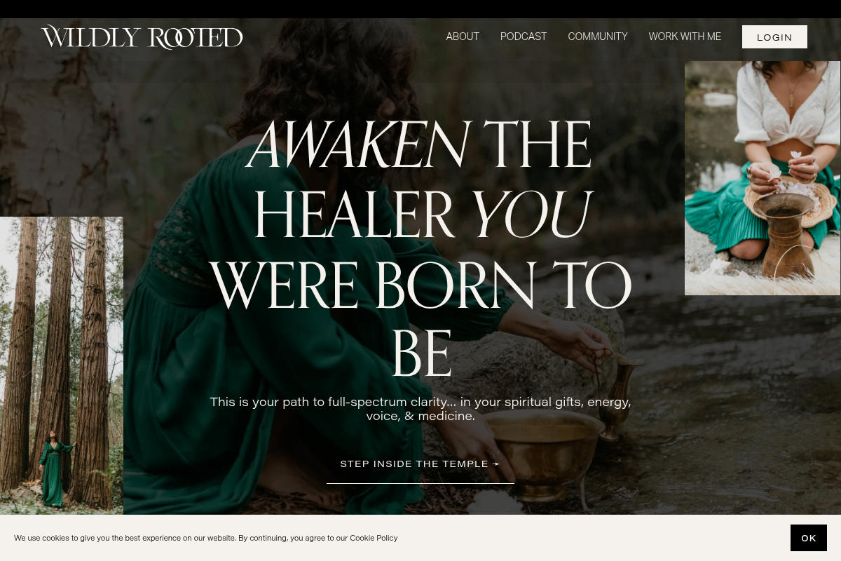 Screenshot of Wildly Rooted website