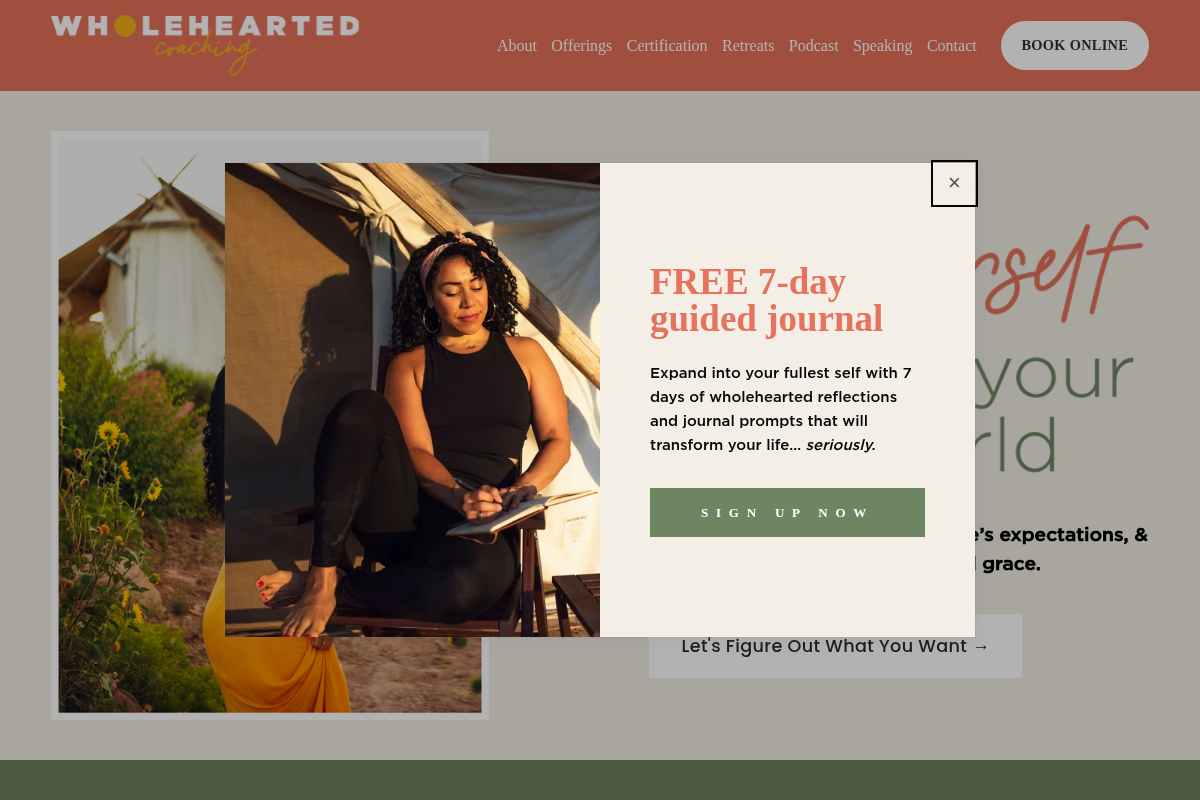 Screenshot of Wholehearted Coaching website